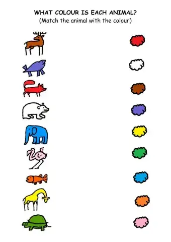 THE MIXED-UP CHAMELEON - ANIMALS - COLOURS