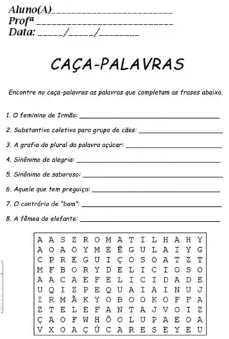 Caça palavras de adjetivo e substantivo