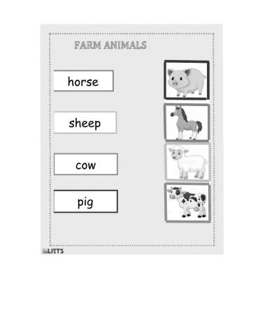 Farm animals