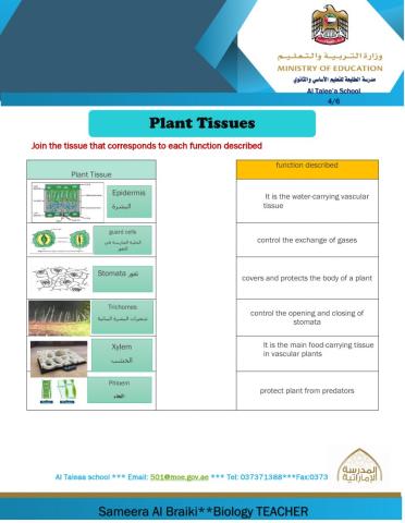 Plant Cells and Tissues