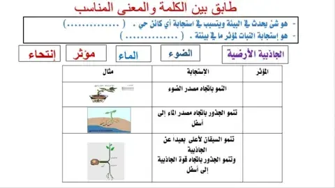 تكيف النبات