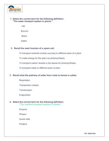 Xylem and phloem worksheet