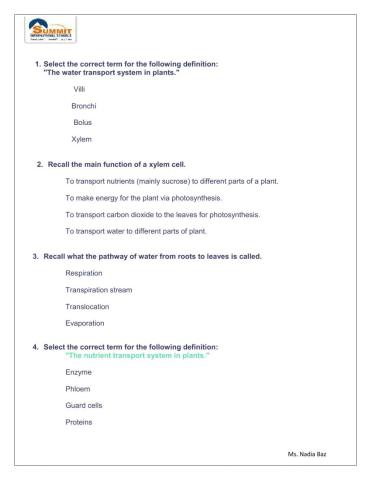 Xylem and phloem worksheet
