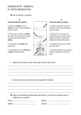 El texto instructivo