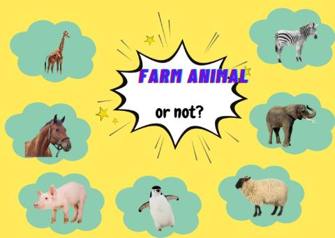 Farm animals