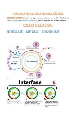 Reproducción celular