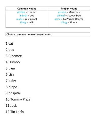 Common and Proper Nouns1