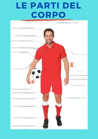 Le parti del corpo