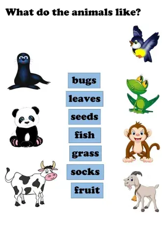 Animals and their food