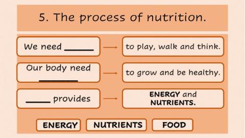 The process of nutrition