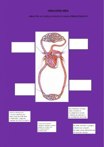 A circulación xeral