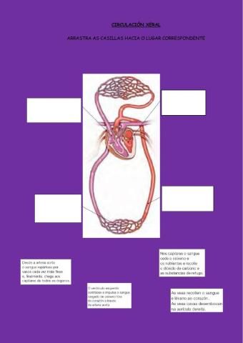 A circulación xeral