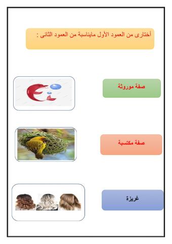 الوراثة والصفات