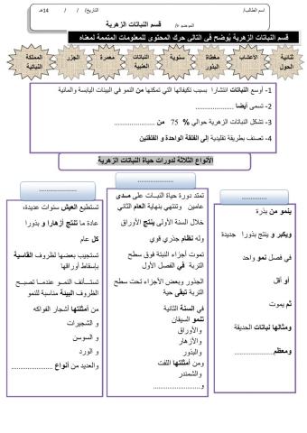 ورقة 8تفاعلية3