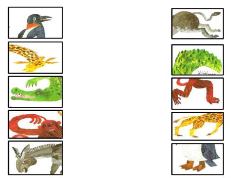 Draw a line to match the front half each animal with its back