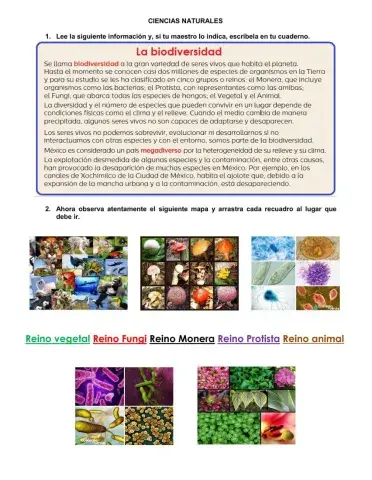 Z553 Ciencias Naturales