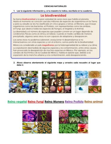 Z553 Ciencias Naturales