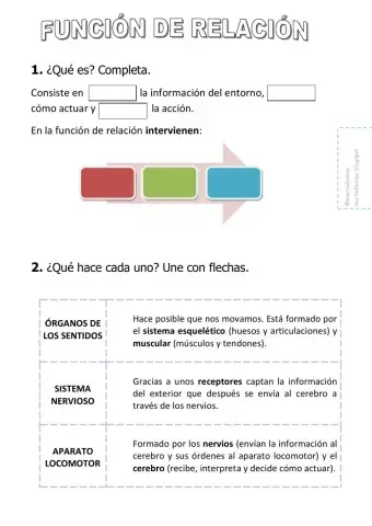 Función de relación