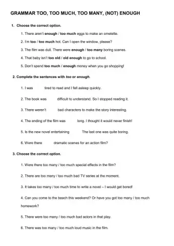 Grammar too, too much, too many, (not) enough