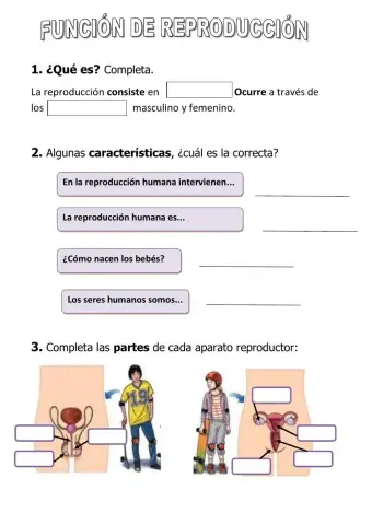 Función de reproducción