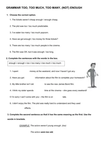 Grammar too many, too much, enough