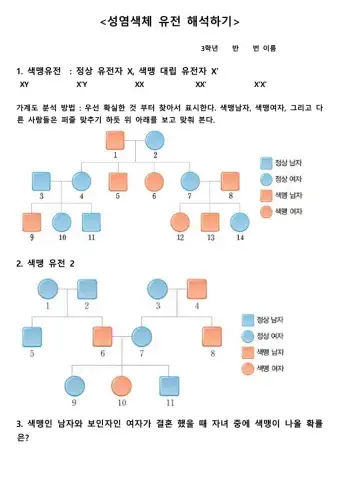 성염색체유전(색맹유전)