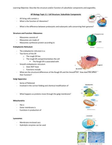 AP Biology Topic 2.1 Cell Structure: Subcellular Components Notes