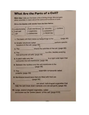 Ch 1 Science Test Cells
