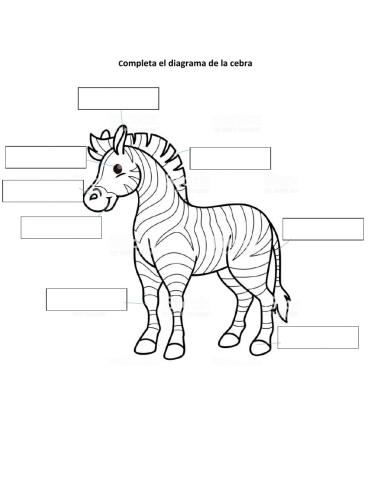 Completa el diagrama de la zebra