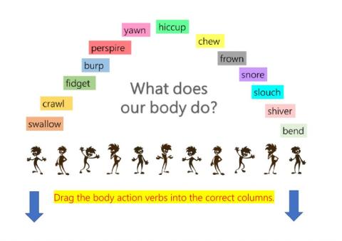 body verbs