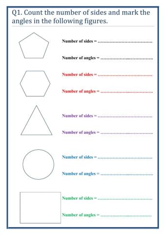 Sides and angle in shapes