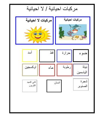 االنطام البيئي