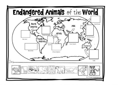 Map animals