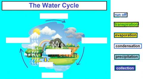 The Water Cycle