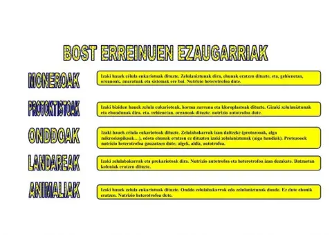 Bost erreinuen ezaugarriak