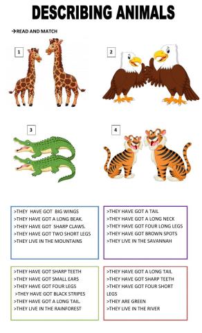 Describing animals