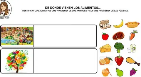 Alimentos: Animales o Plantas