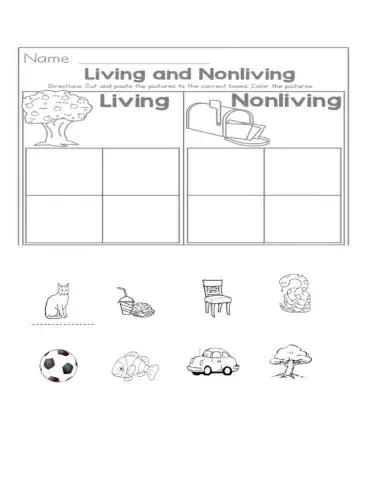 Living - Nonliving drag and drop
