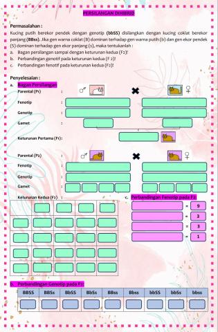 Persilangan dihibrid