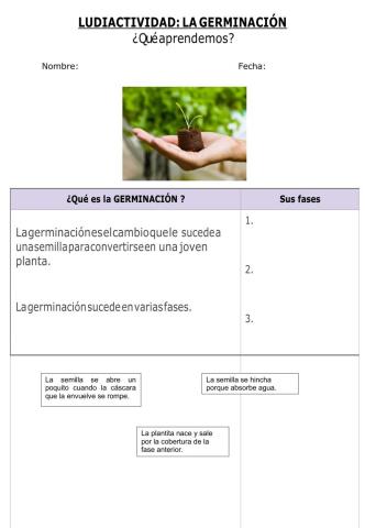 Guía de laboratorio interactiva