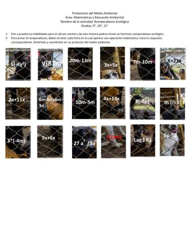 Protectores del Medio Ambiente