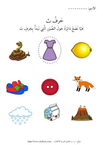 Choose the correct pic