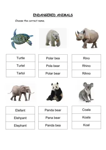Endangered animals names
