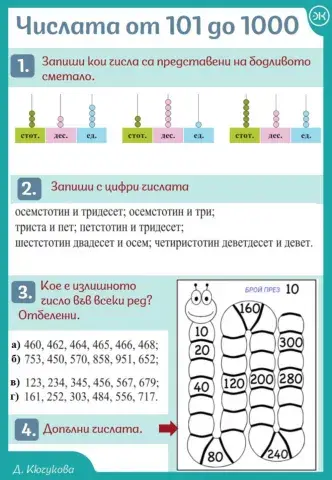 Числата от 101 до 1000