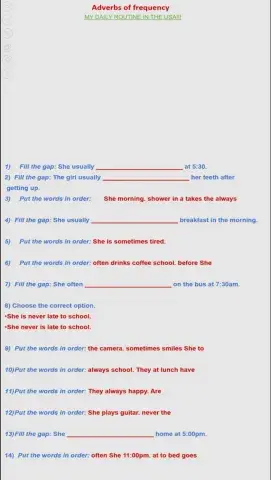 Adverbs of frequency video
