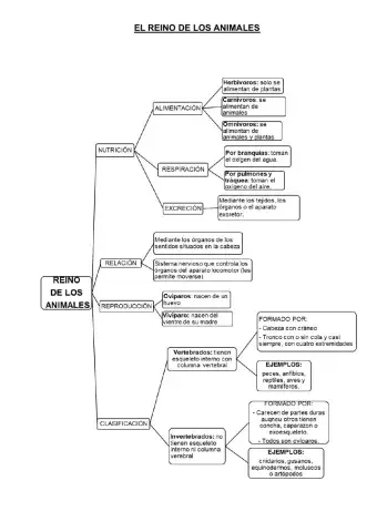 El reino de los animales