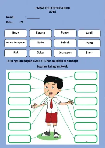 Ngaran babagian awak