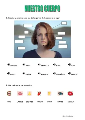 Nuestro cuerpo 2