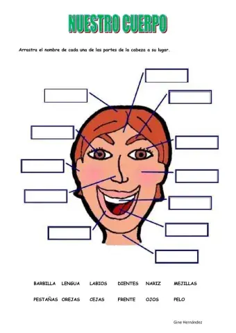 Nuestro cuerpo 3