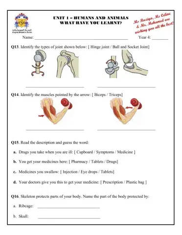 Revision States of Matter